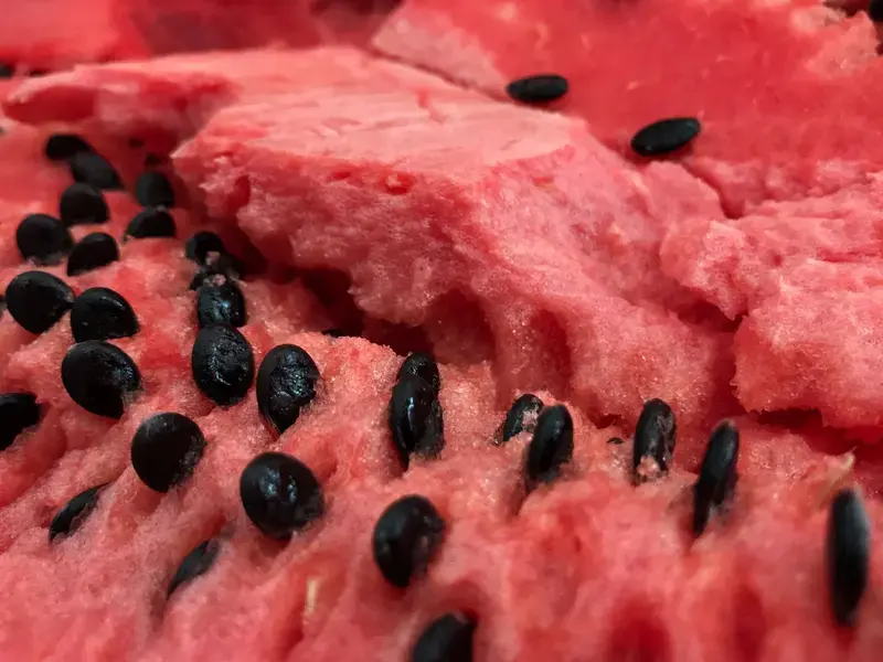 watermelon-seeds