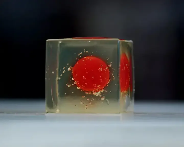 The secrets of Fine Dining cube