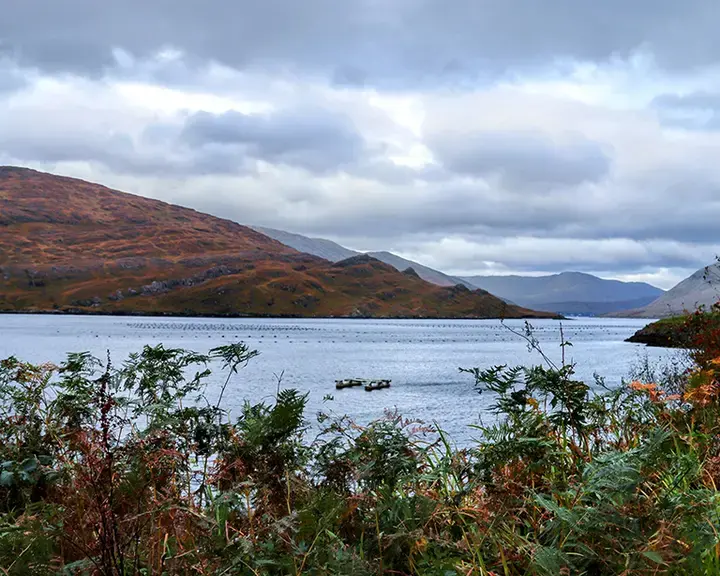 Killary fjord in the west of Ireland.