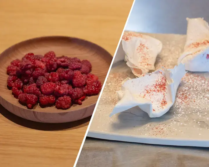 Raspberry Cushion by César Troisgros