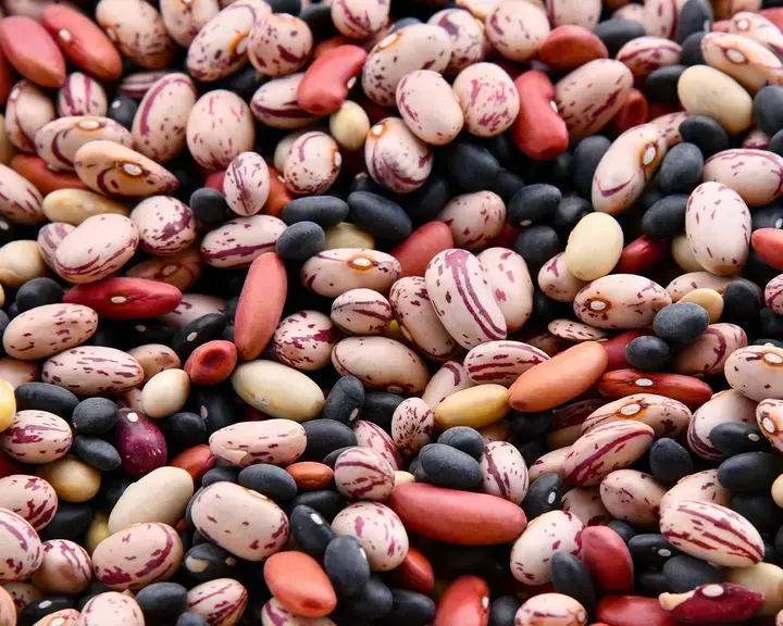 Assorted colourful beans.