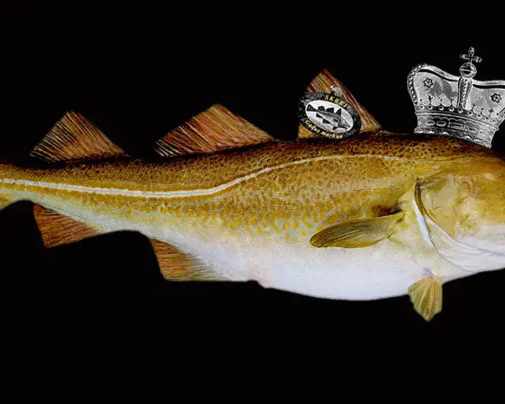 Original_11996_skrei-finedininglovers-tp