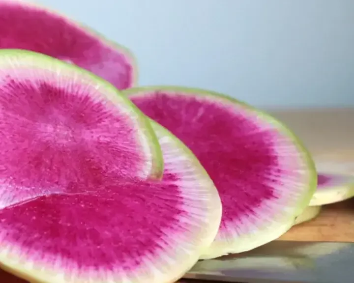 What is Watermelon Radish?