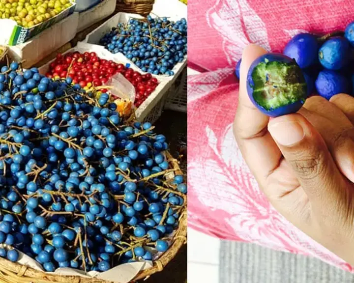 Blue Olives, Sri Lanka's Street Food Olive