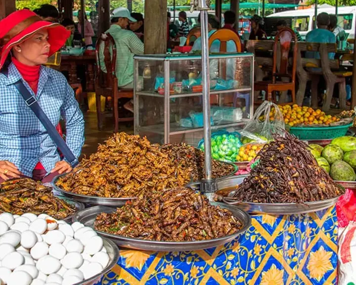 Insects everywhere! Cambodia’s Expansive Creepy-Crawly Menu