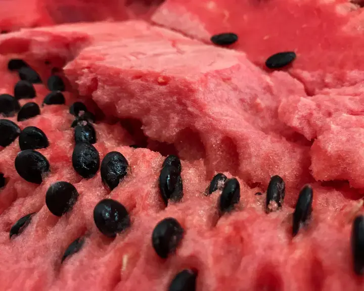 watermelon-seeds