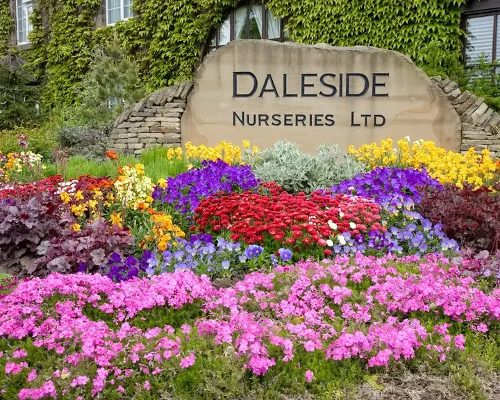 Daleside Nurseries Ltd Daleside Nurseries Ltd