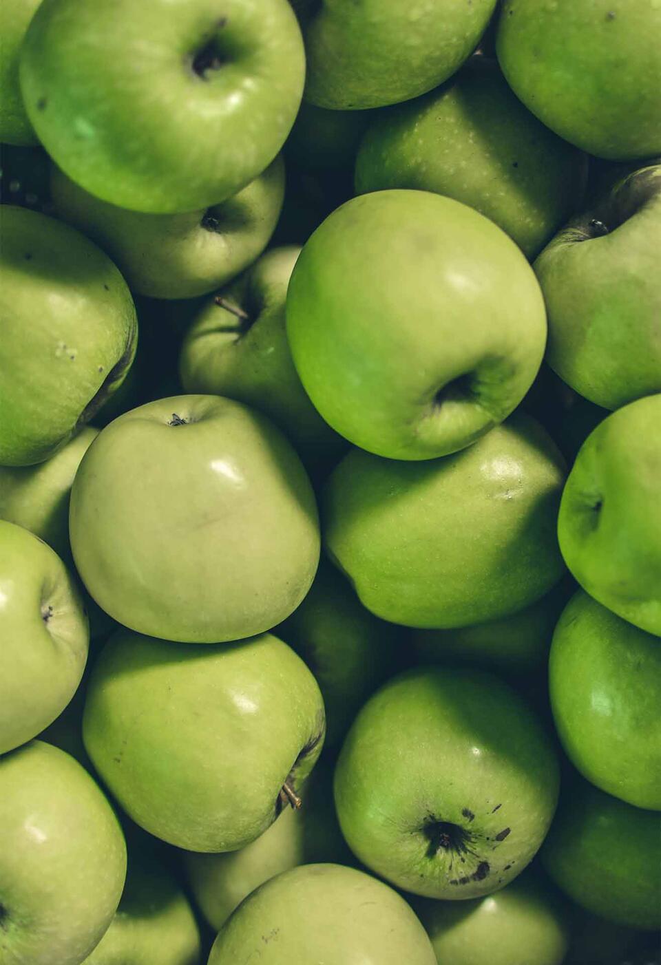 Nutritional Insights