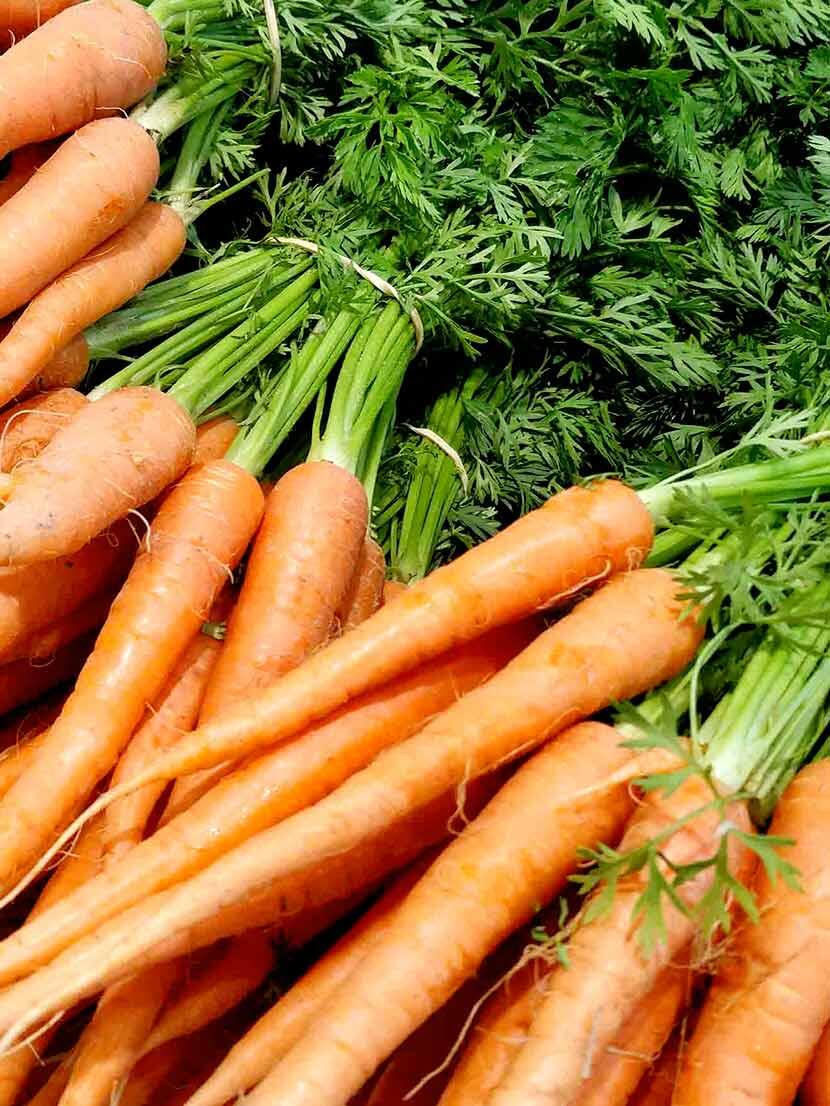 Nutritional Insights